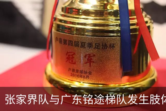 张家界队与广东铭途梯队发生肢体冲突，湖南省足协：暂停涉事人员参加省内一切足球活动